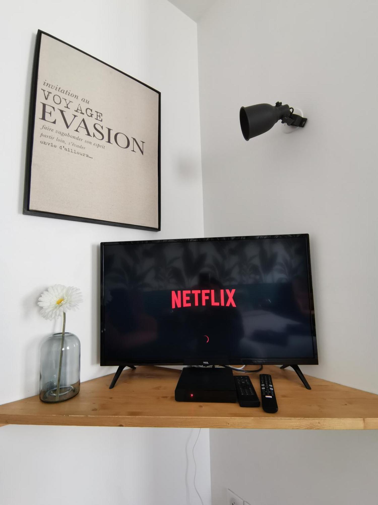 Jungle Studio Gex - Ski - Netflix Exterior photo